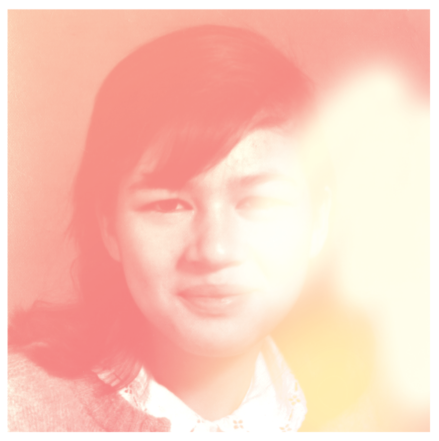 Lace Bows / TimiTimiNoNo - Soul Metabolisms / Untitled - Split LP
