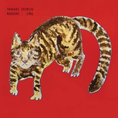 Yasuaki Shimizu - Kakashi - CD
