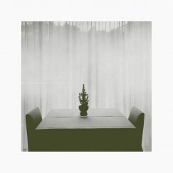Joana Gama | Luís Fernandes - At The Still Point Of The Turning World - CD