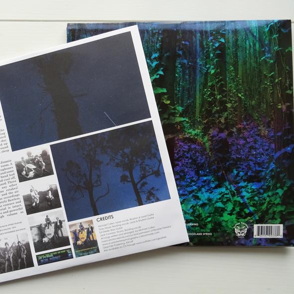 Bleu Forest - Ichiban - LP - Image 2