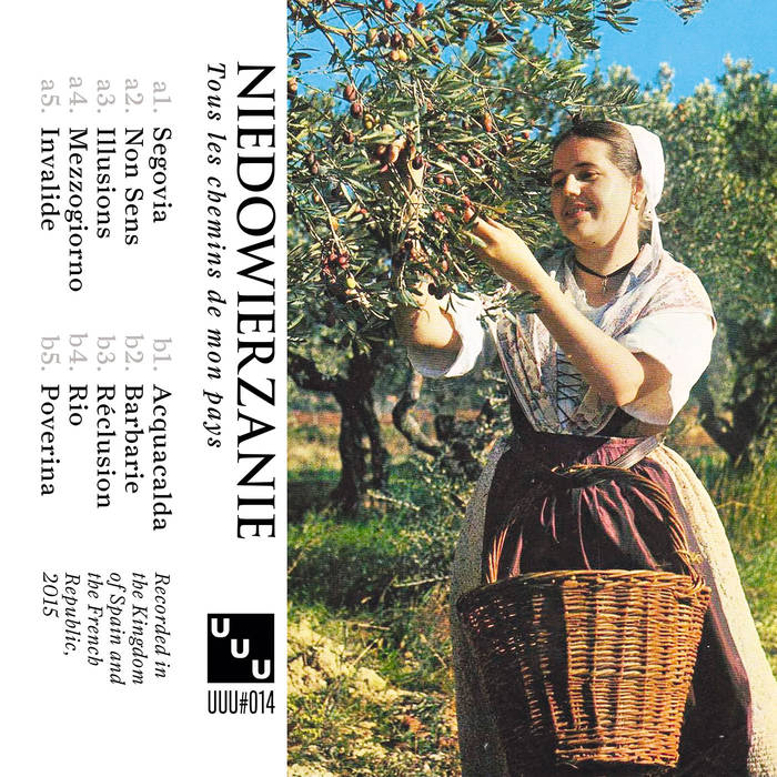 Niedowierzanie - Tous Les Chemins De Mon Pays - K7