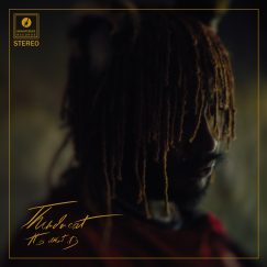 Thundercat - It Is What It Is - LP (Picture Disc)