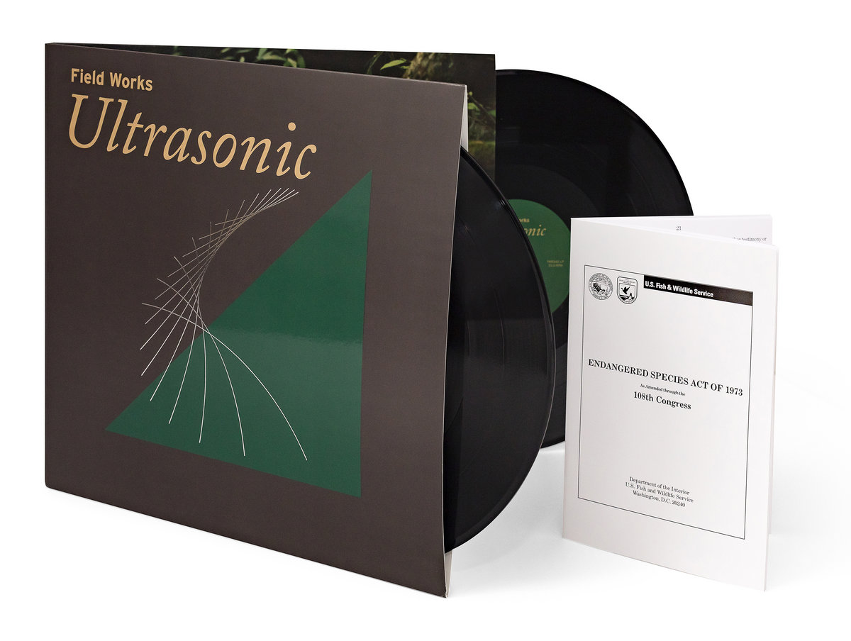 Field Works - Ultrasonics - 2LP - Image 2