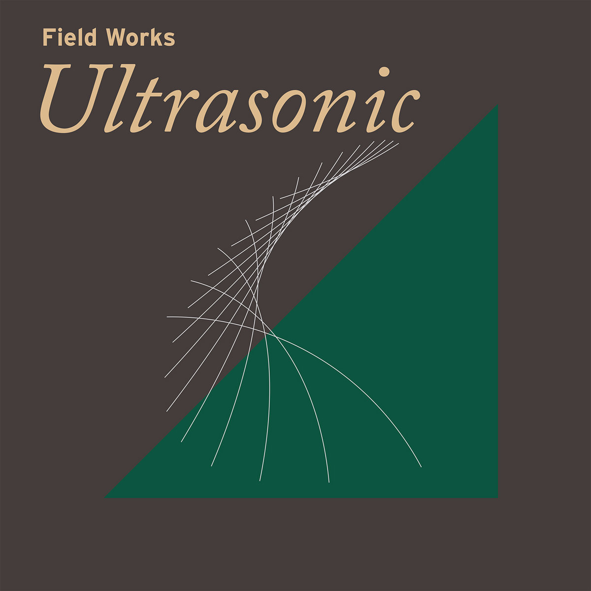 Field Works - Ultrasonics - CD