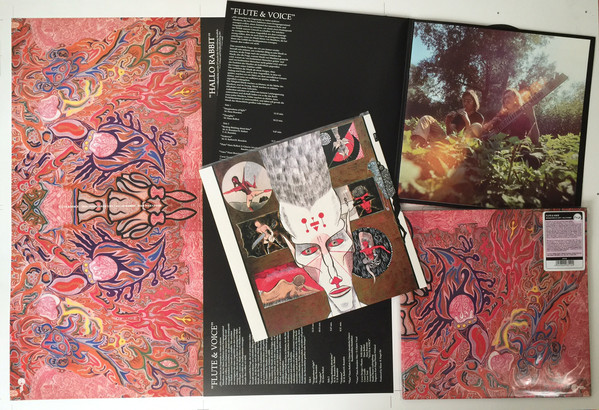 Flute & Voice - Imaginations Of Light / Hallo Rabbit - 2LP - Image 2