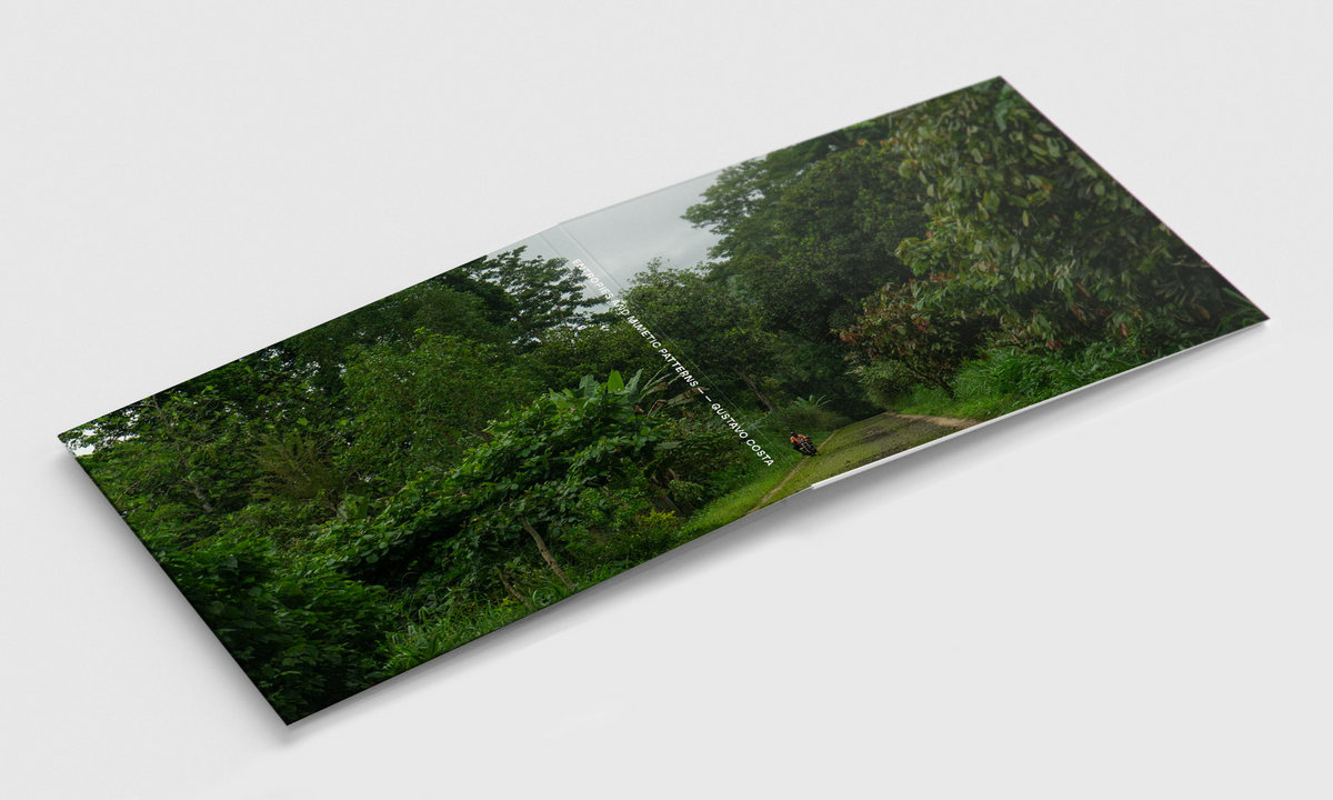 Gustavo Costa - Entropies and Mimetic Patterns - CD - Image 2
