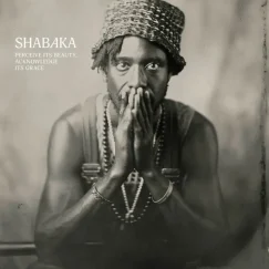 Shabaka Hutchings - Perceive Its Beauty, Acknowledge Its Grace - LP