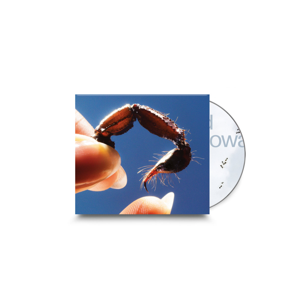 Squid - Cowards - CD - Image 2