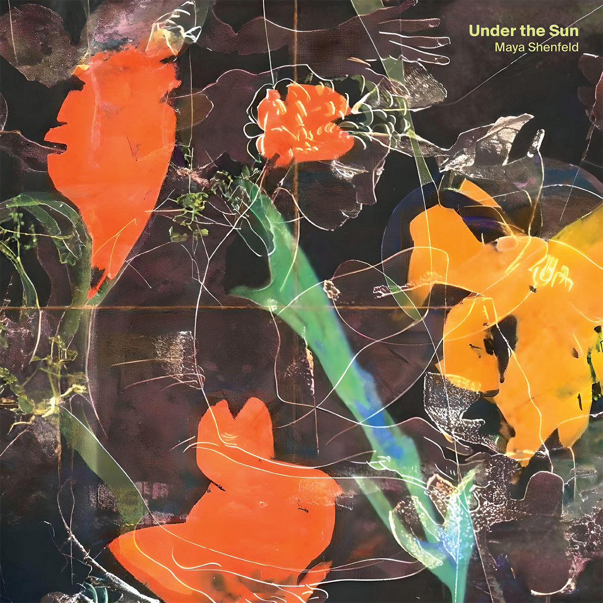 Maya Shenfeld - Under The Sun - CD