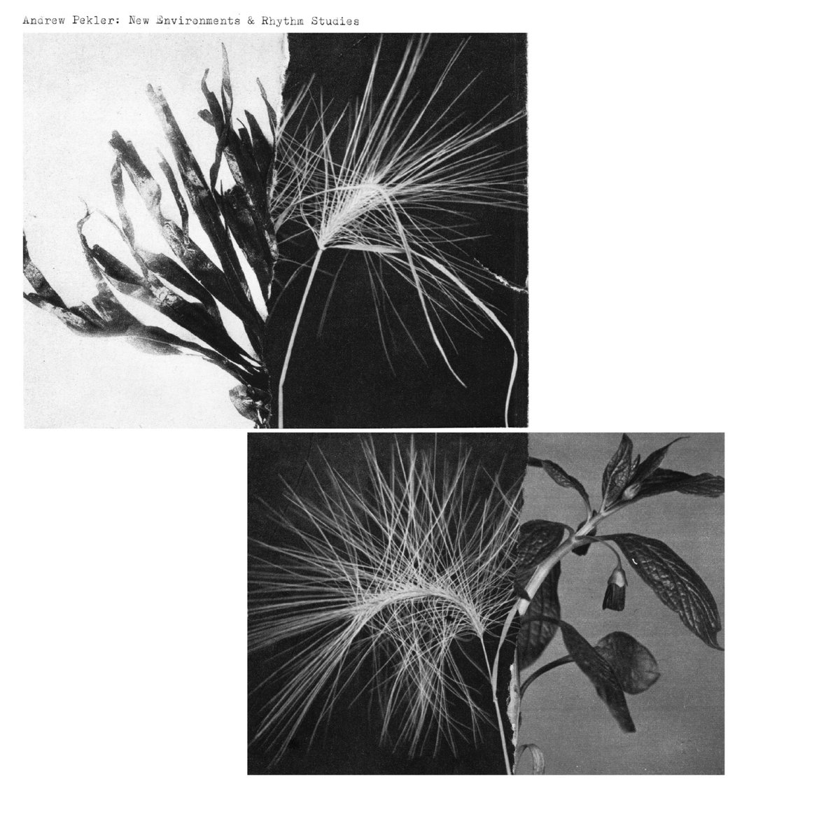 Andrew Pekler - New Environments & Rhythm Studies - LP