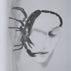 Tortoise - Touch - CD