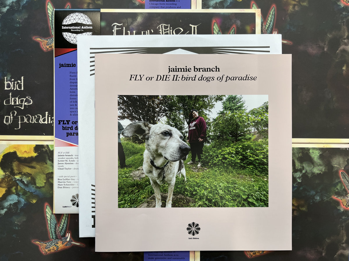 Jaimie Branch - Fly Or Die II: Bird Dogs Of Paradise (IA11 Edition) - LP - Image 3