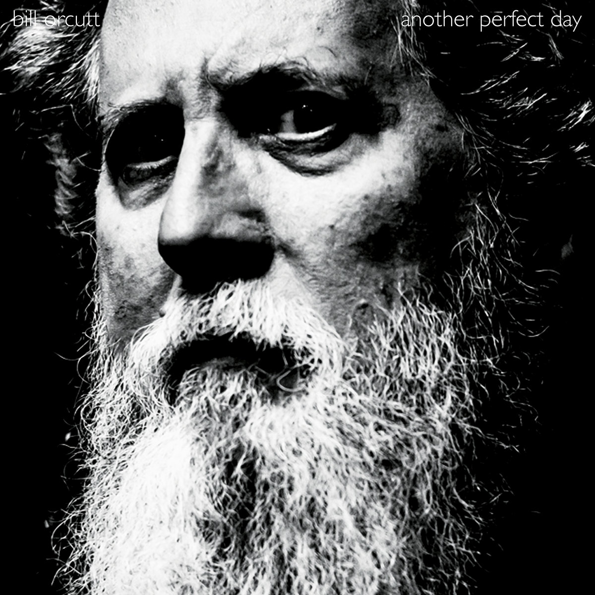 Bill Orcutt - Another Perfect Day - CD