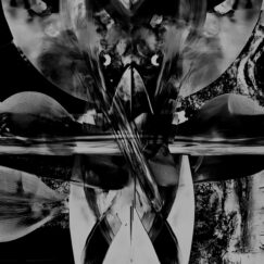Ece Canlı - Vox Flora, Vox Fauna - LP