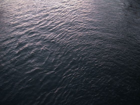 Wasser Bassin Report